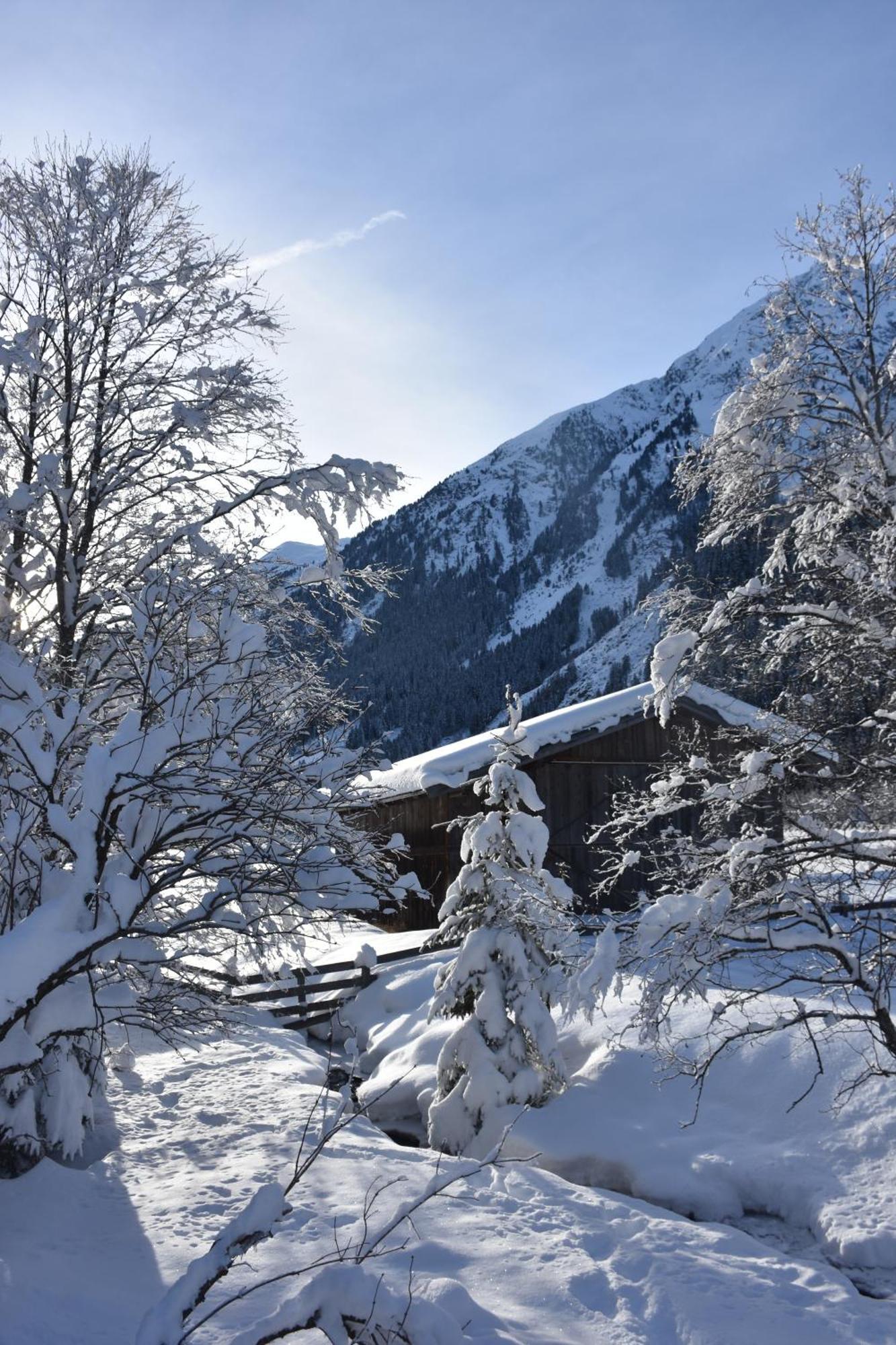 Apartamento Haus Marco Neustift im Stubaital Exterior foto