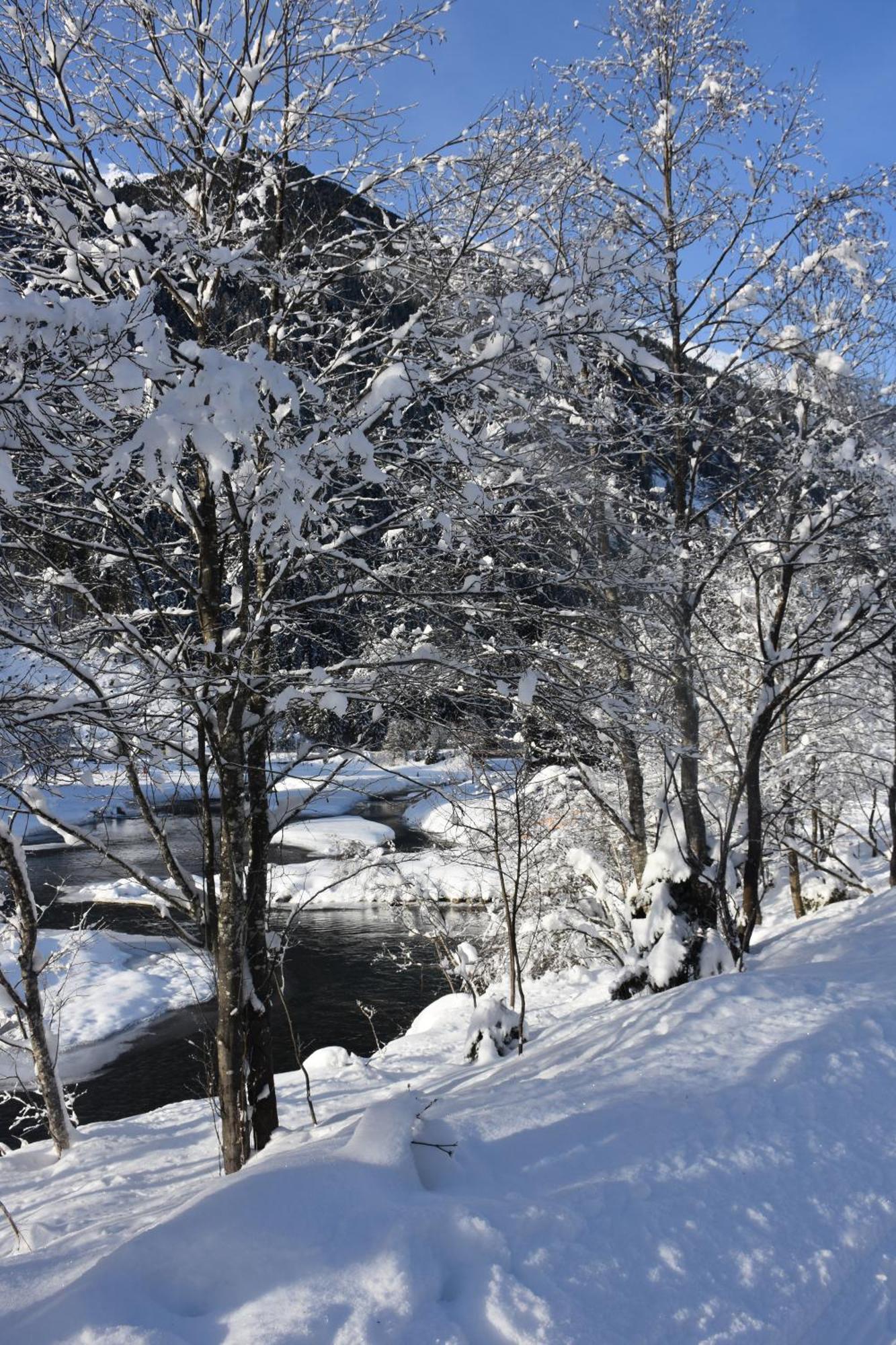 Apartamento Haus Marco Neustift im Stubaital Exterior foto